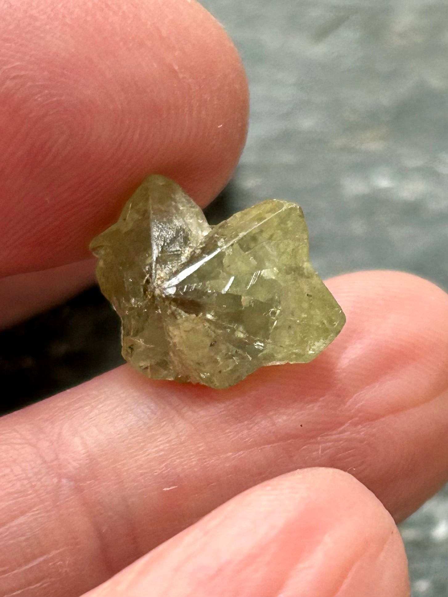Chrysoberyl Floret Crystal